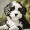 Black and White Tibetan Terrier Diamond Painting