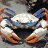 Blue Crab Animal Diamond Painting