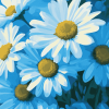 Blue Daisies Flower Diamond Painting