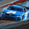 Blue Kyle Larson Racing Car Diamond Painting