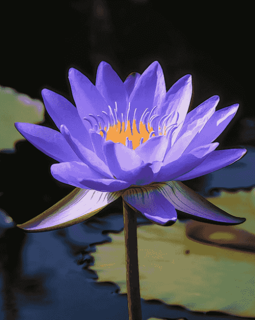 Blue Waterlily Blooms Diamond Painting