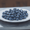 Blueberry Fruits Patio Diamond Painting