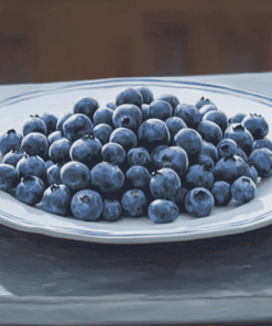 Blueberry Fruits Patio Diamond Painting