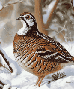 Bobwhite Quail in Snowy Landscape Diamond Painting