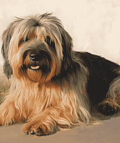 Briard Dog Diamond Painting