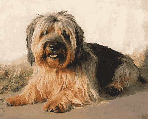 Briard Dog Diamond Painting