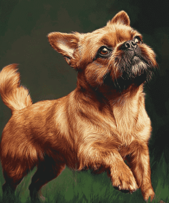 Brussel Griffon Puppy Diamond Painting