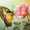 Butterfly Roses Blossoms Diamond Painting