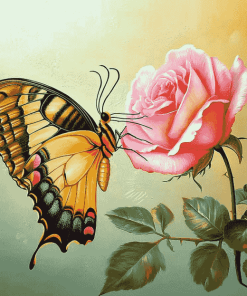 Butterfly Roses Blossoms Diamond Painting