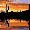 Cactus Silhouette at Sunset Diamond Painting