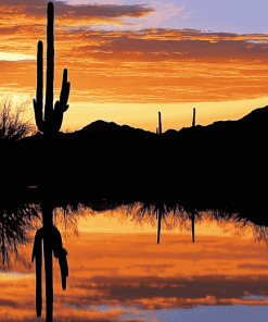 Cactus Silhouette at Sunset Diamond Painting