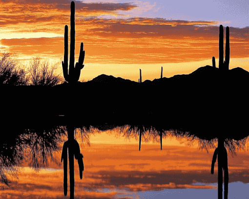 Cactus Silhouette at Sunset Diamond Painting