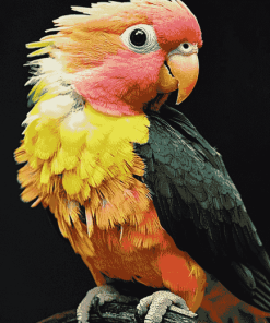 Caique Parrot Colorful Diamond Painting