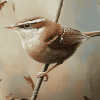 California Wren Birds Diamond Painting