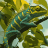 Cameleon on Green Branch Diamond Painting