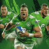 Canberra Raiders Footballers Diamond Painting