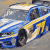 Chase Elliott Race Cars Diamond Painting