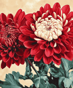 Chinese Chrysanthemums Blossoms Diamond Painting