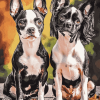 Chinese Crested Puppy Diamond Painting