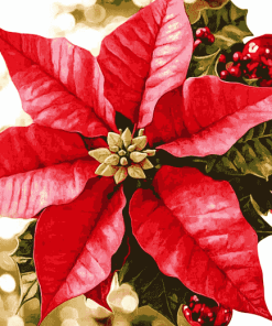 Christmas Poinsettia Blossoms Diamond Painting