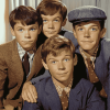 Classic TV Characters My Three Sons Diamond Painting