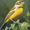 Colorful Dickcissel Bird Diamond Painting