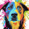 Colorful Dog Splatter Diamond Painting