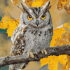 Colorful Eastern Screech Owl Diamond Painting