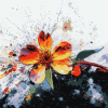 Colorful Flower Blossom Diamond Painting