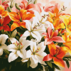 Colorful Lily Blossoms Diamond Painting