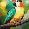 Colorful Quaker Parrot Diamond Painting