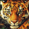 Colorful Tiger Pop Art Diamond Painting