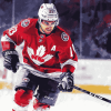 Connor Bedard Famous Hockey Player Diamond Painting