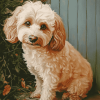 Corgi Poodle Pet Diamond Painting