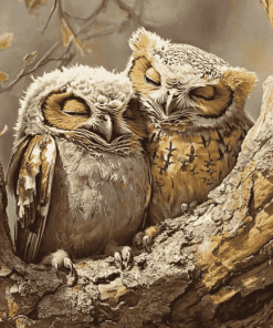 Cuddly Owls Diamond Painting