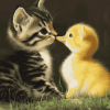 Cute Animals Duck and Cat Diamond Painting