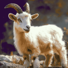 Cute Baby Goat Diamond Painting