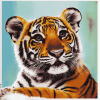 Cute Baby Tiger Face Diamond Painting