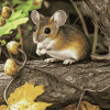 Cute Mouse in Nature Diamond Painting