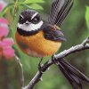 Cute New Zealand Bird Diamond Painting