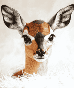 Cute Steenbok Animal Diamond Painting