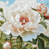 Cute White Peony Blossoms Diamond Painting