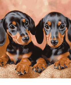 Dachshund Miniature Puppies Diamond Painting