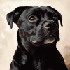 Dark Brown Staffordshire Bull Terrier Diamond Painting