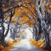 Dark Hedges Autumn Landscape Diamond Painting