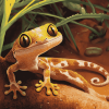 Desert Gecko Animal Diamond Painting