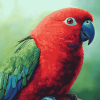 Eclectus Parrot Fowls Diamond Painting