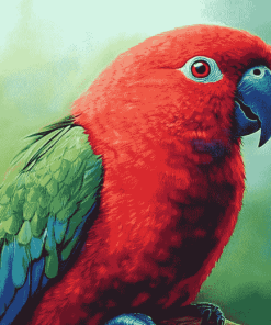 Eclectus Parrot Fowls Diamond Painting