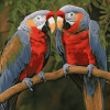 Exotic African Parrot Diamond Painting