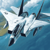 F 14 Tomcat Jets Diamond Painting